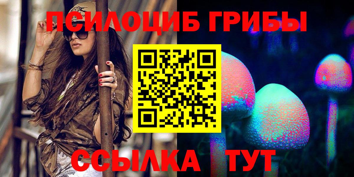 Псилоцибиновые грибы мицелий Тара